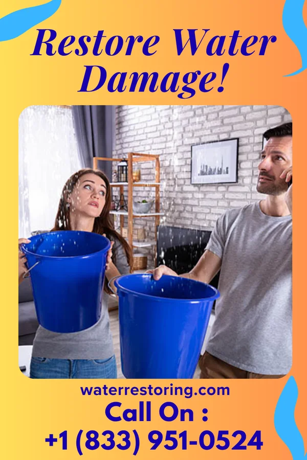 water restoration Best Flood Cleanup Company McClellanville