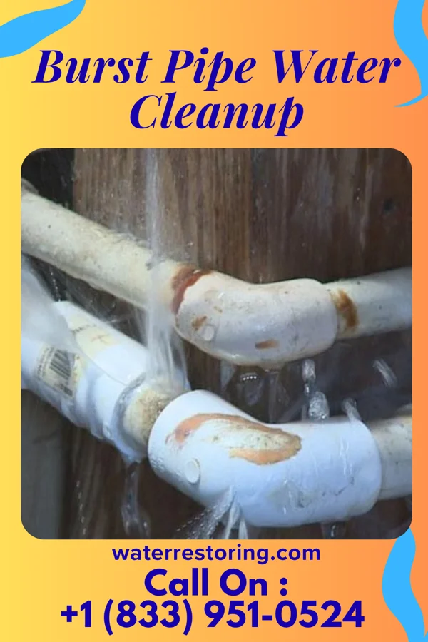 Burst Pipe Water Cleanup in McClellanville, SC