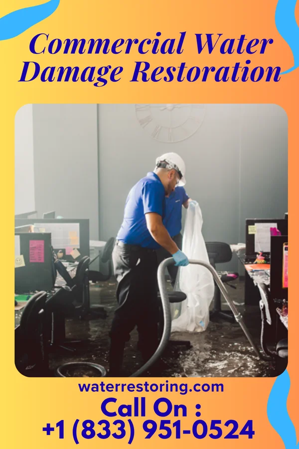 Commercial Water Damage Restoration in McClellanville, SC