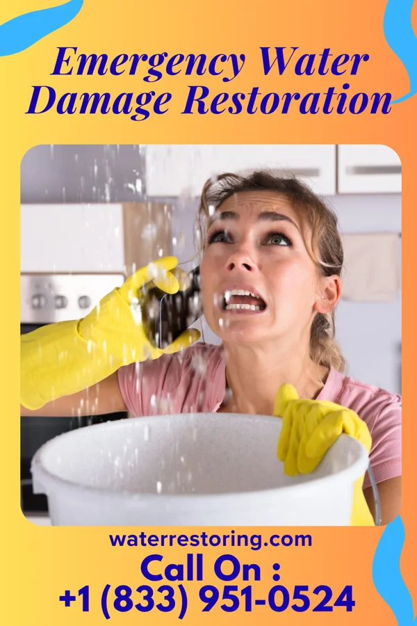Emergency Water Damage Restoration in McClellanville, SC