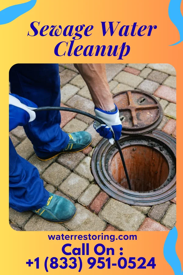 Sewage Water Cleanup in McClellanville, SC